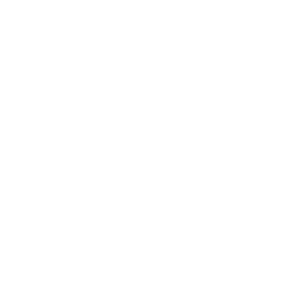 X-ray icon