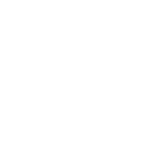 Full mouth reconstruction icon